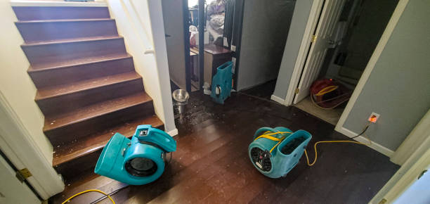 Best Residential Water Damage Restoration in The Pinehills, MA