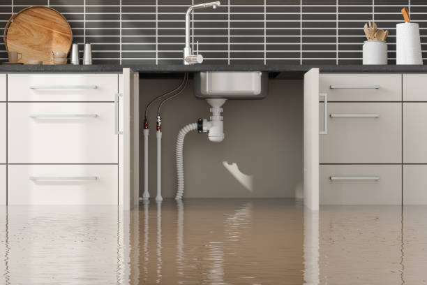 Best Water Damage Insurance Claim Assistance in The Pinehills, MA